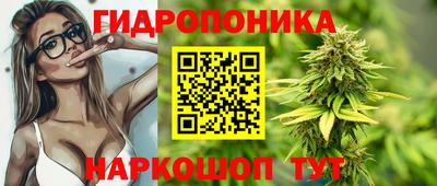 гидропоника Заводоуковск