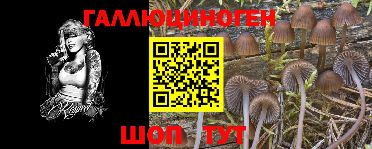 Галлюциногенные грибы GOLDEN TEACHER Луга