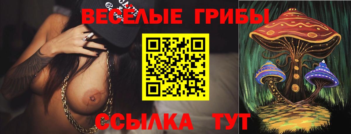 Луга  купить   Вход с VPN  Галлюциногенные грибы мицелий 